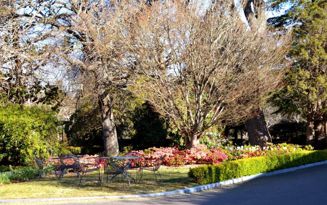 Hotel Nesuto Leura Gardens Extérieur photo